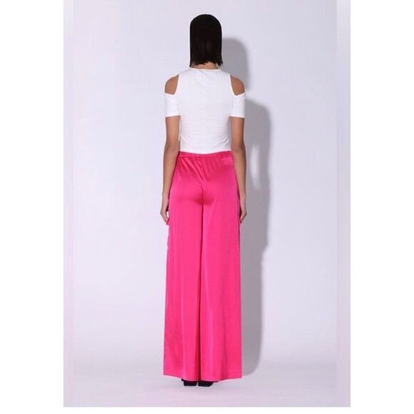 NWT Walter Baker Joey Cargo Pant in Vibrant Bright Pink Size Medium - Picture 2 of 14